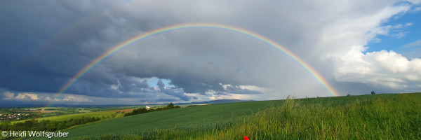 Regenbogen über grünen Feldern