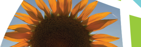 Artikelbild Programm